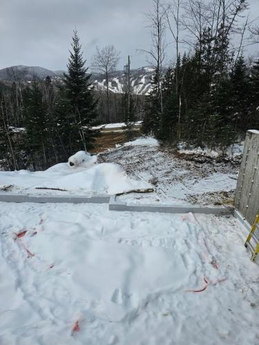 2024-12-13 Remblai (rez-de-chaussee)
